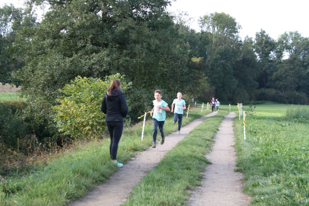 Bild 1 (50)